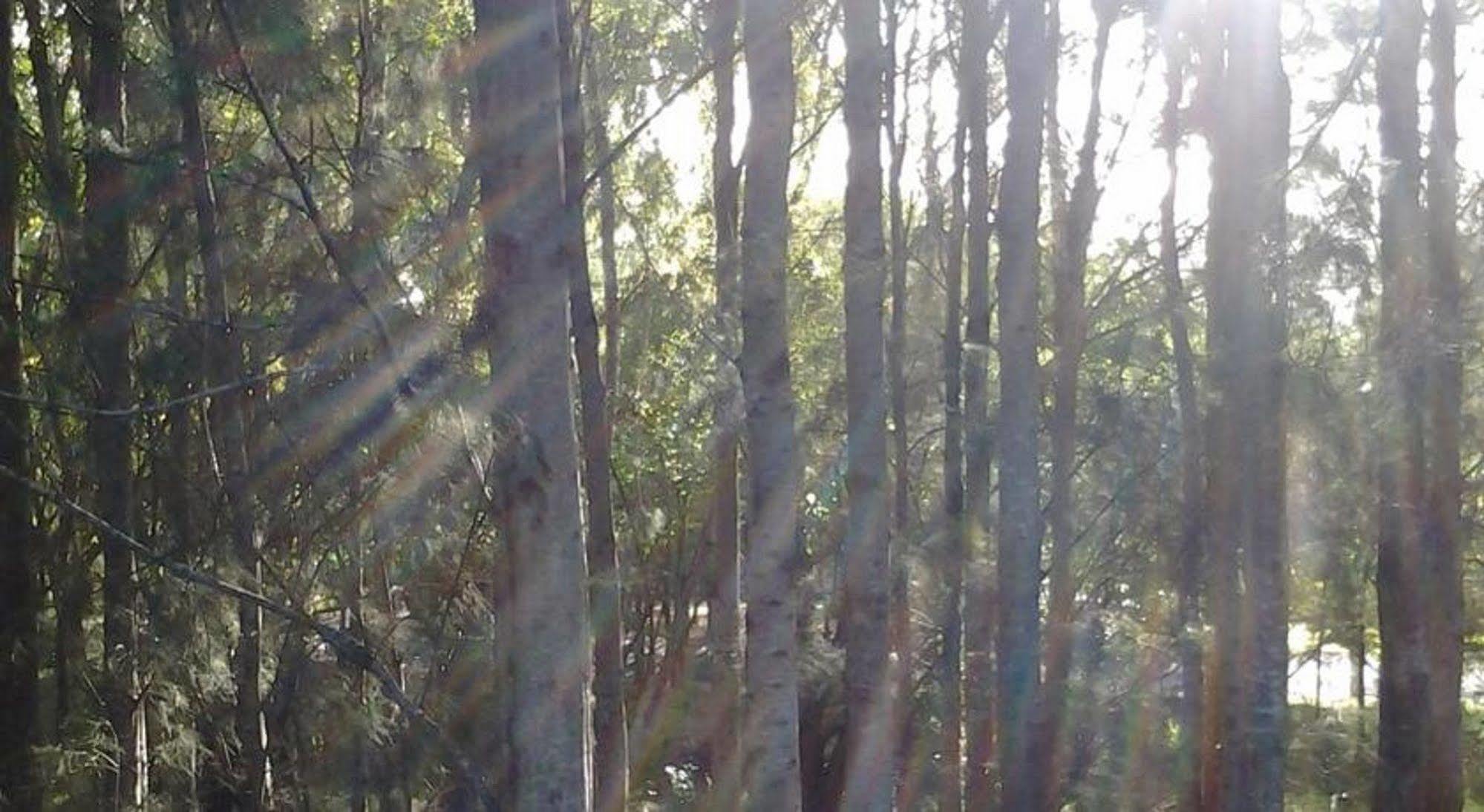 Briars Country Lodge Bowral Kültér fotó